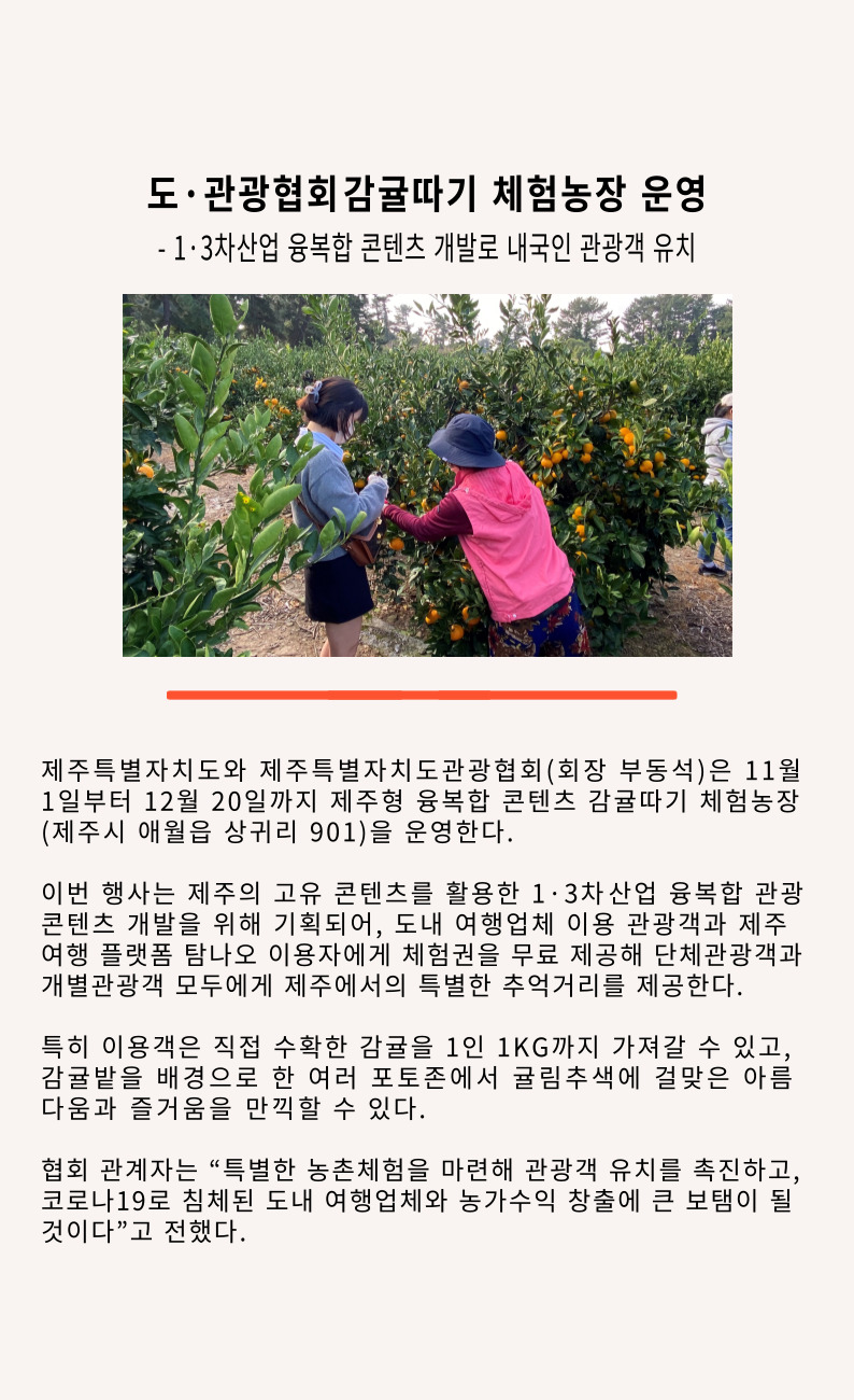 [제주도관광협회] 감귤따기 체험농장 운영.jpg