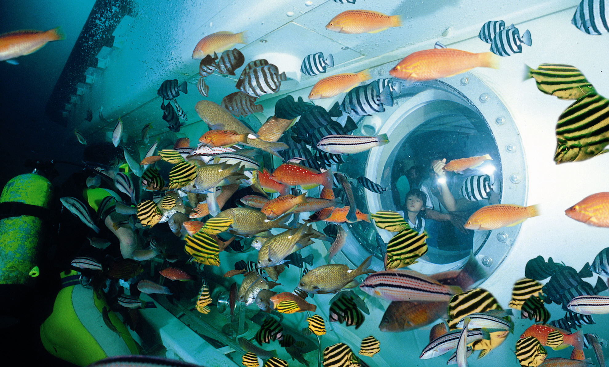 크기변환_다이버 물고기.jpg