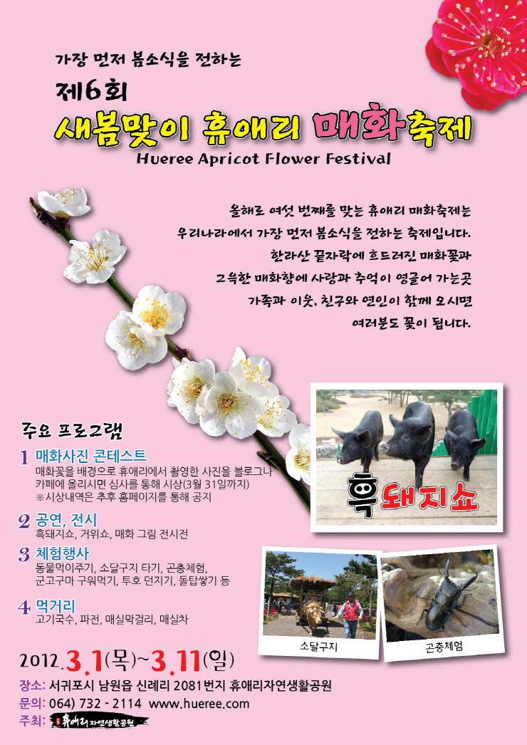 2012매화축제포스터2.jpg