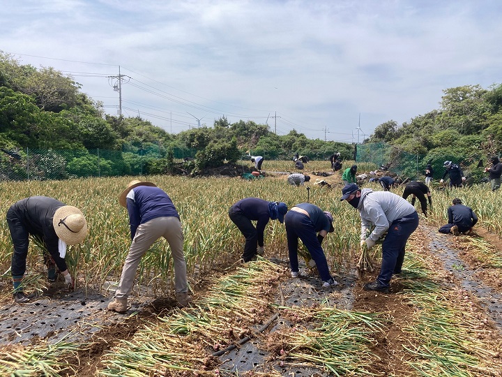 사랑나눔봉사단 농촌일손돕기3.jpg