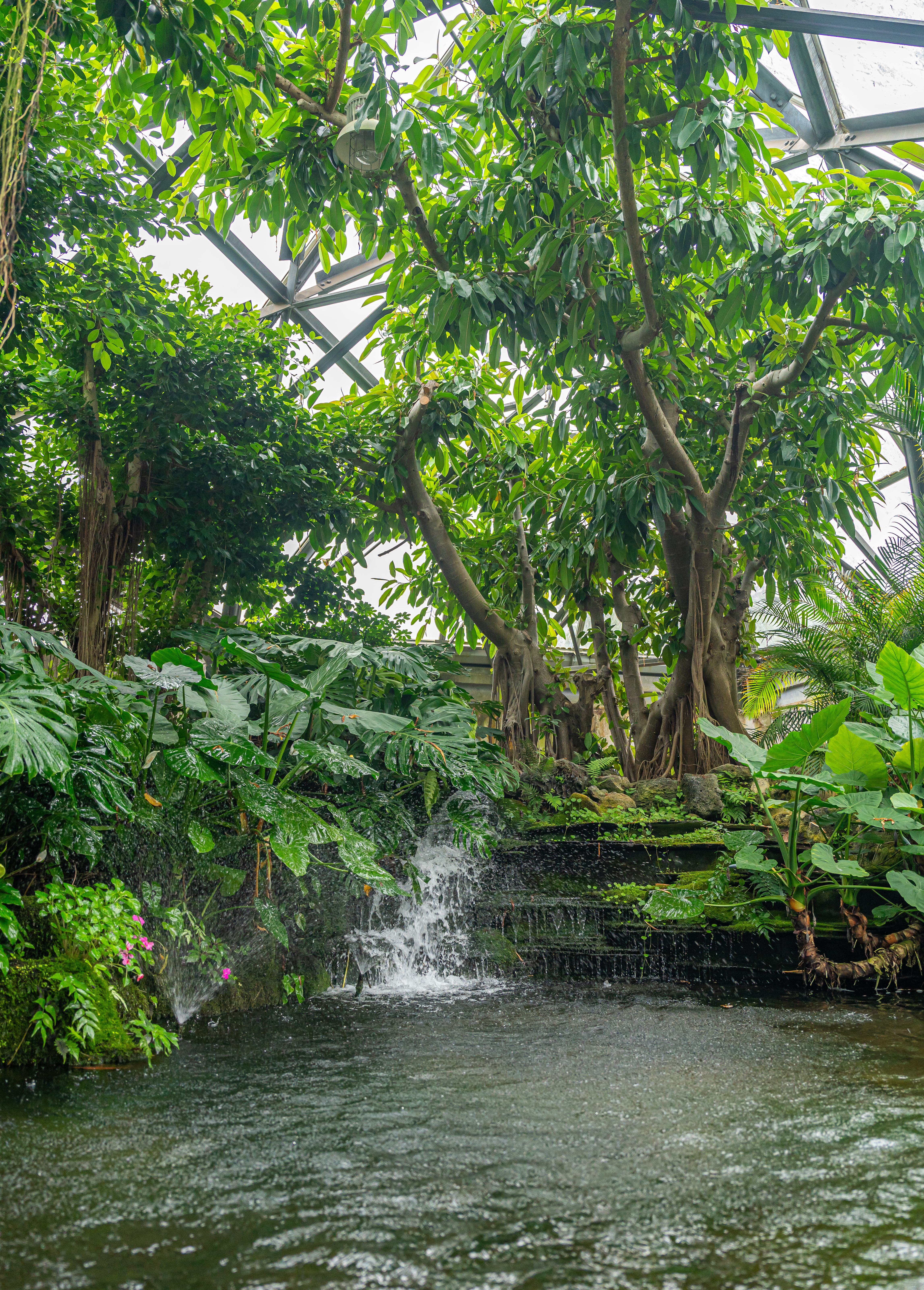 여미지식물원 6