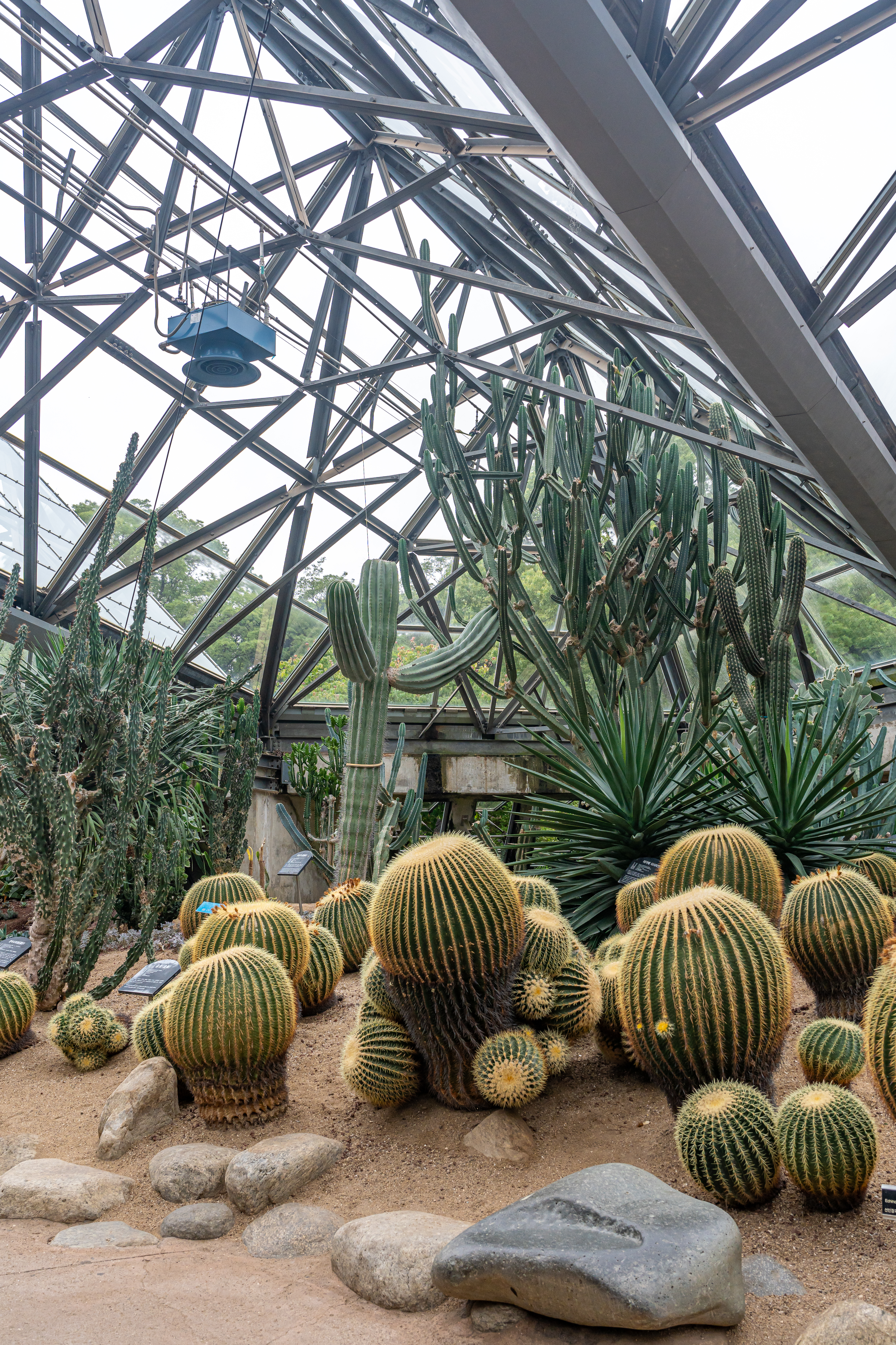 여미지식물원 8