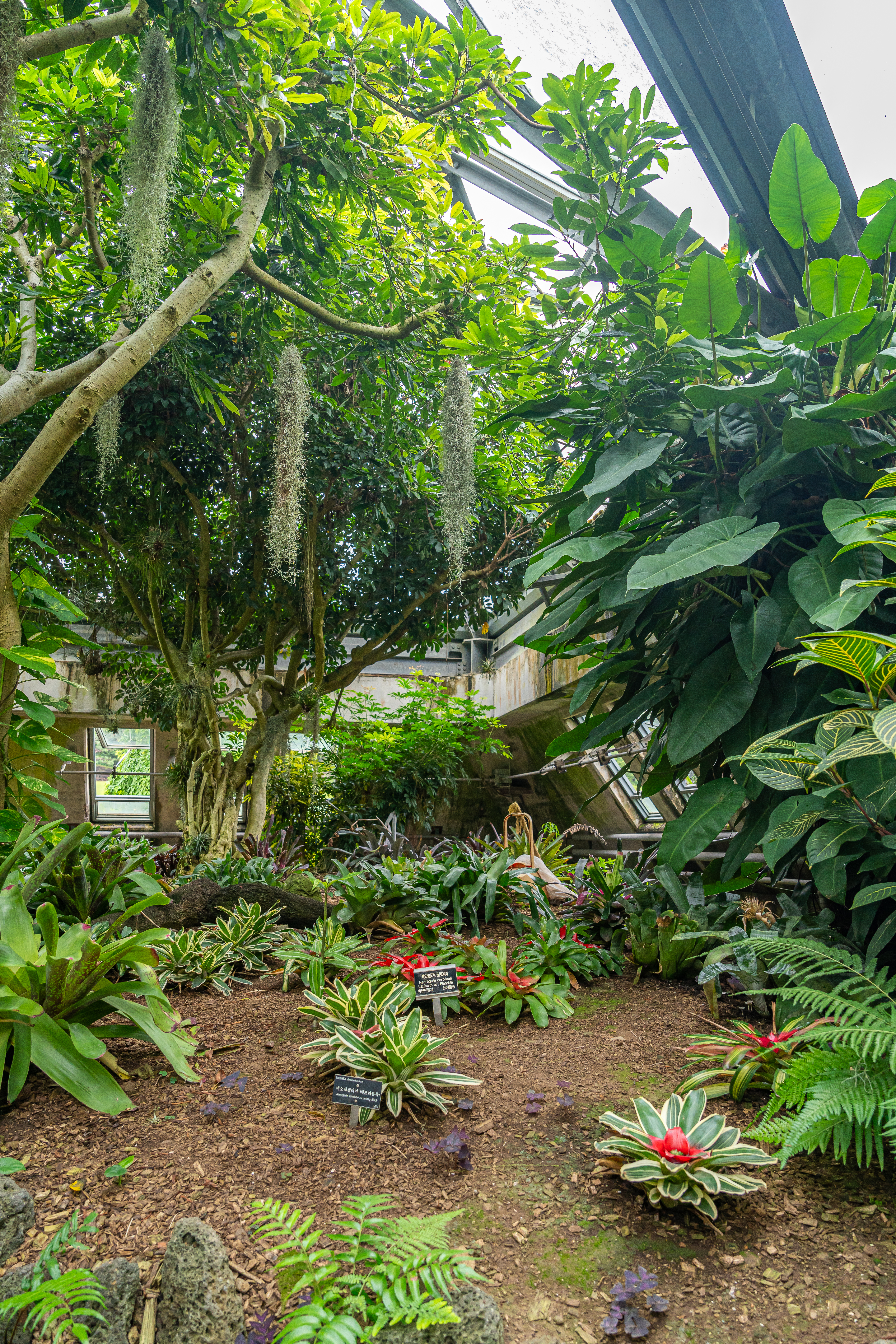 여미지식물원 11