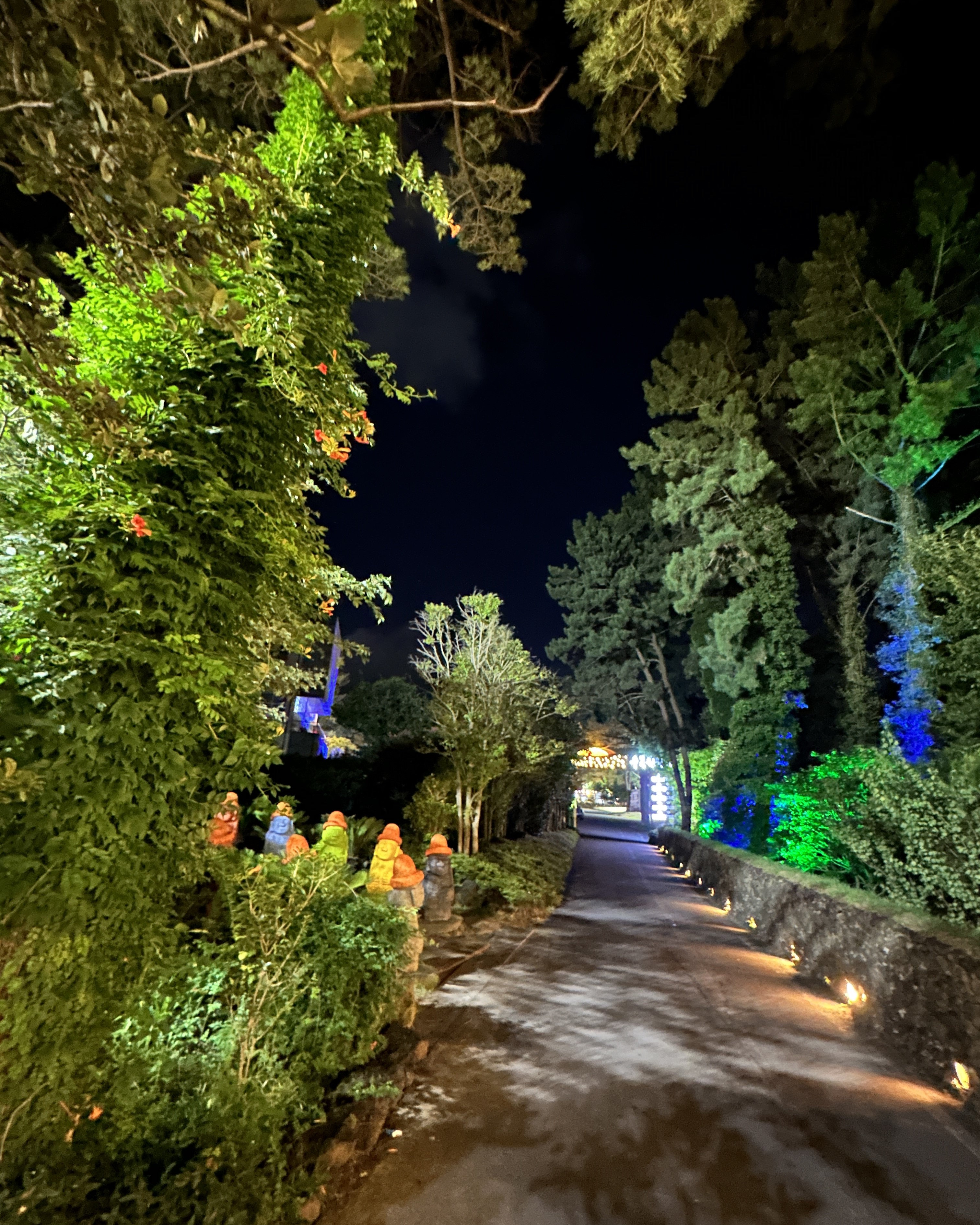 수목원길야시장 6