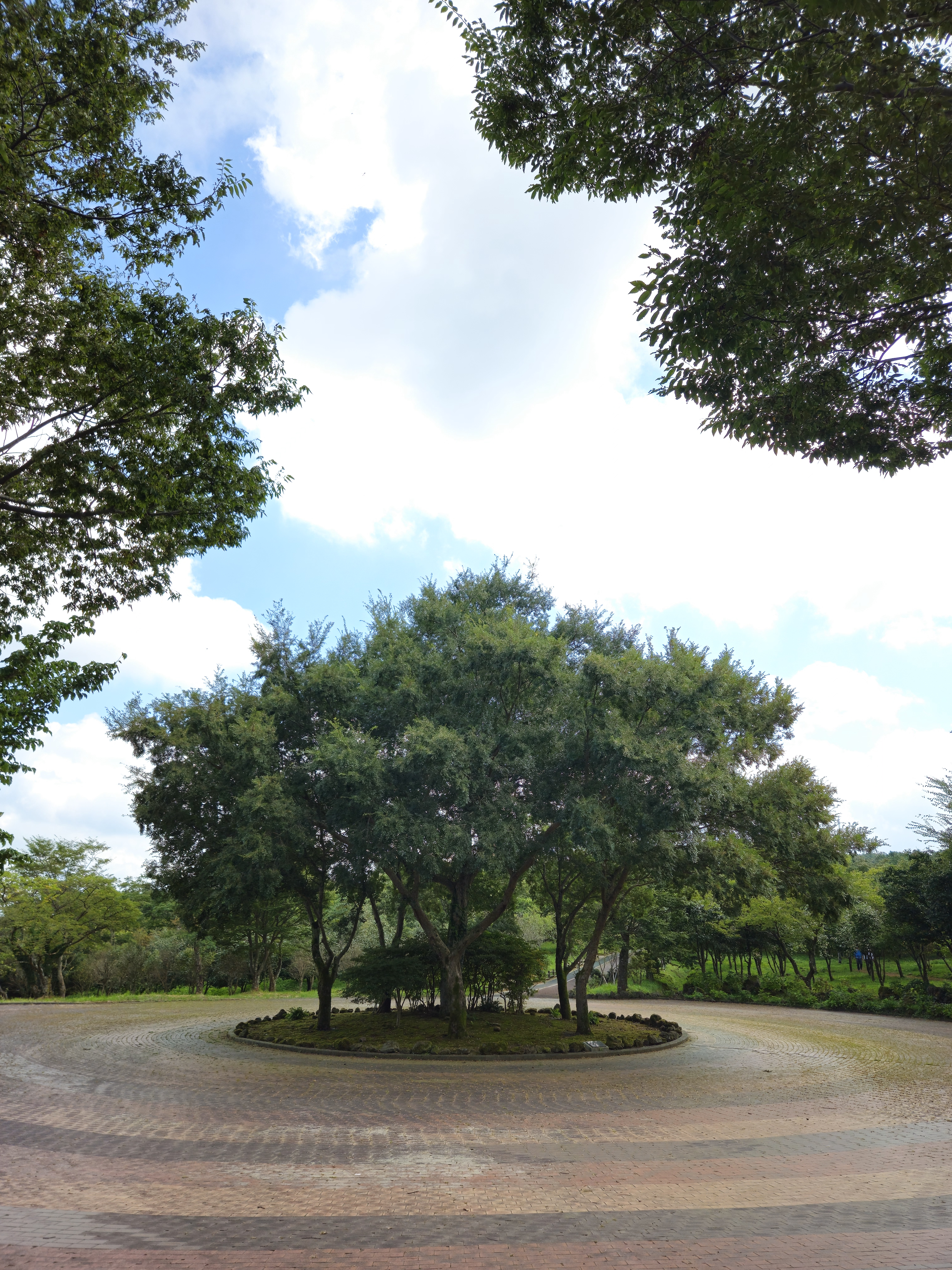 한라생태공원 1