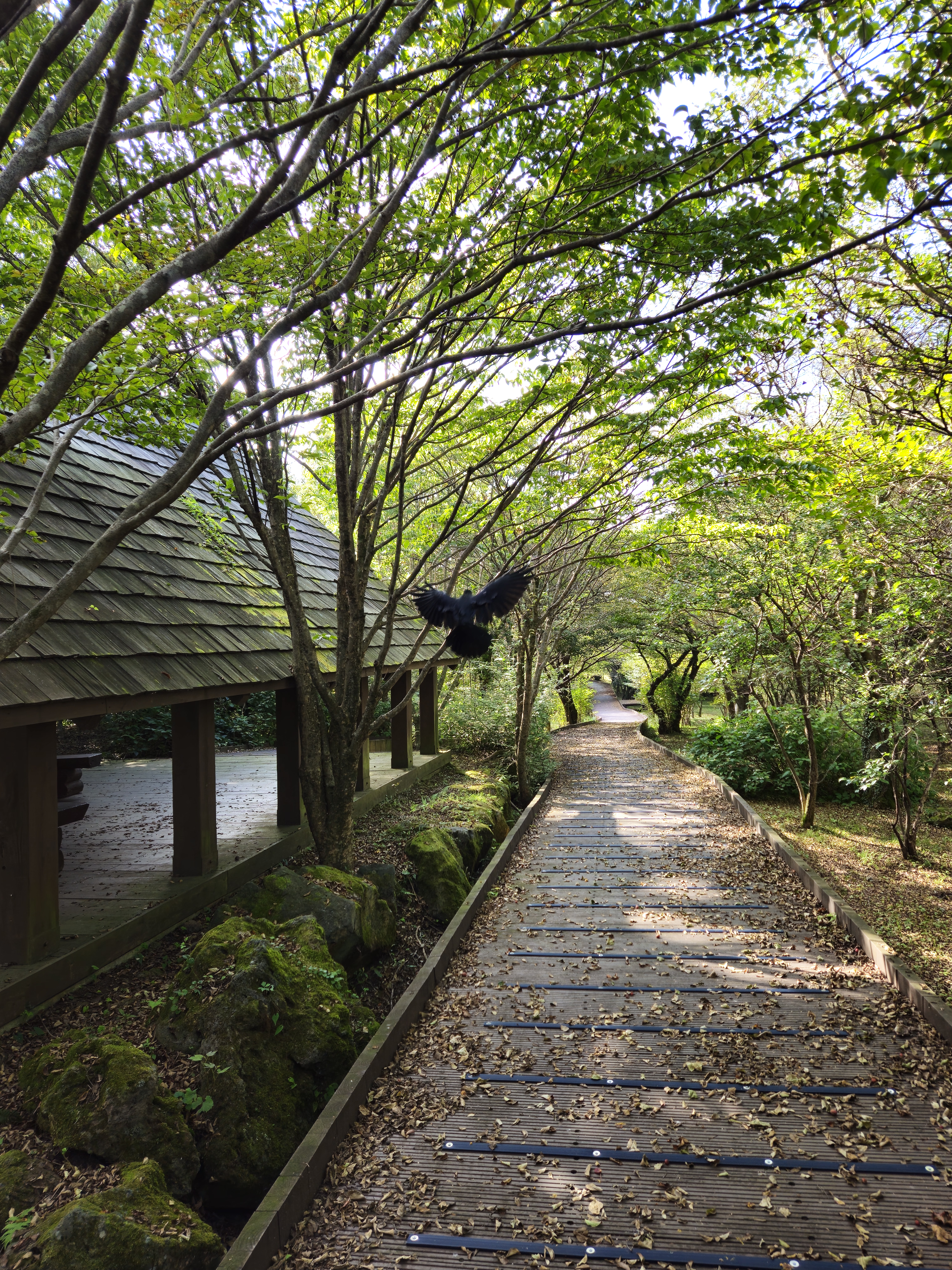 한라생태공원 7