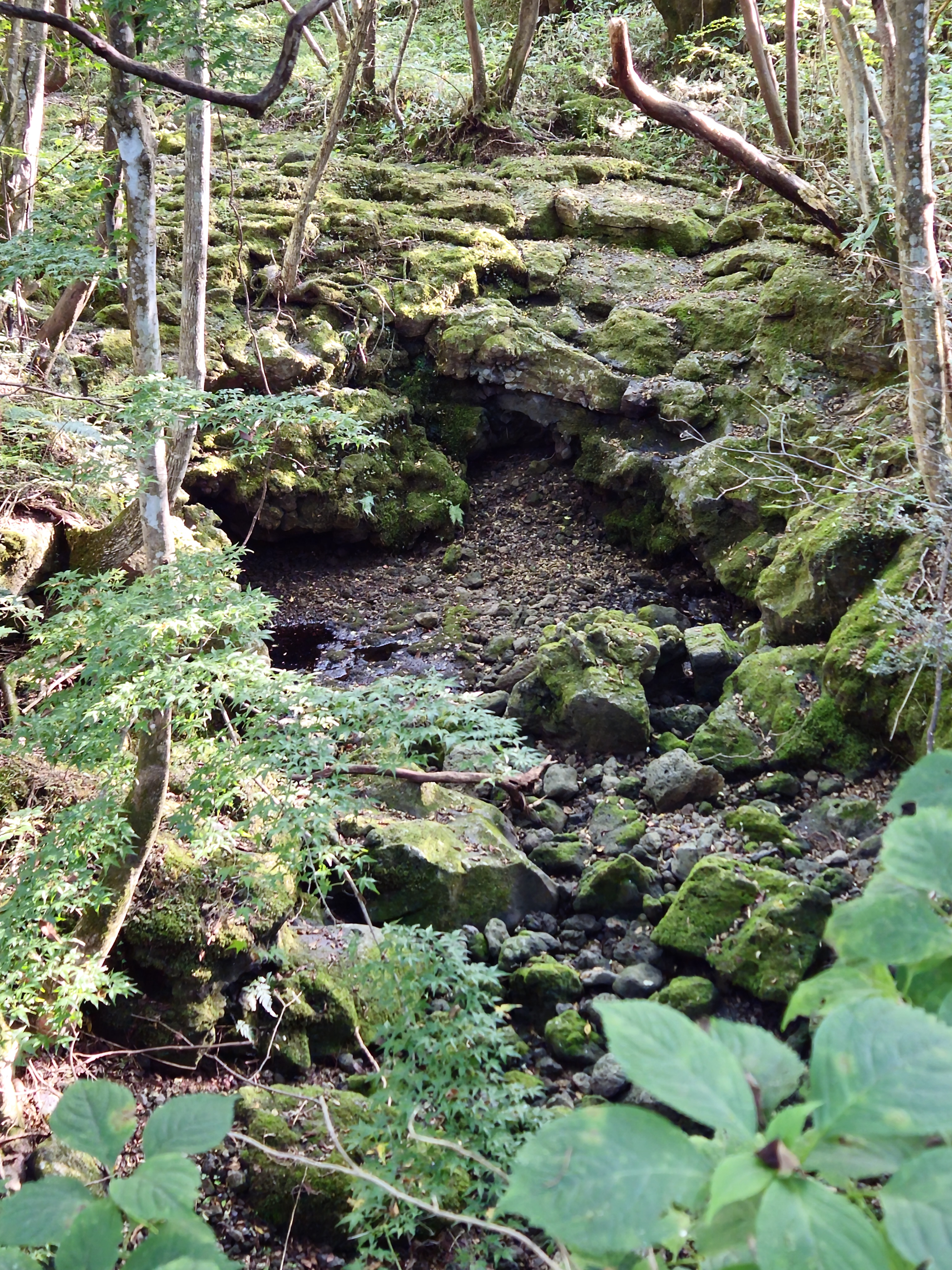 한라생태공원 9