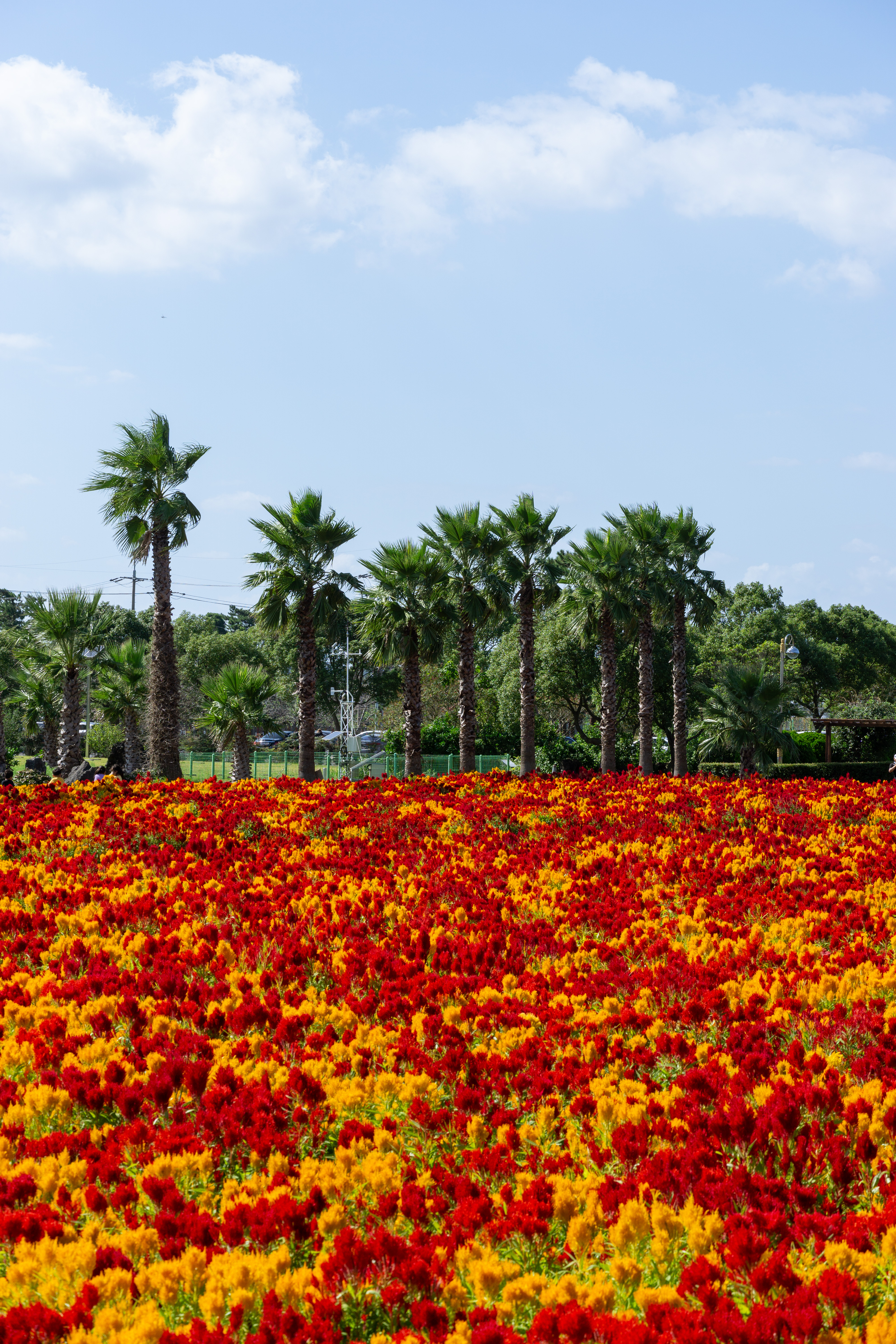 서부농업기술센터 4
