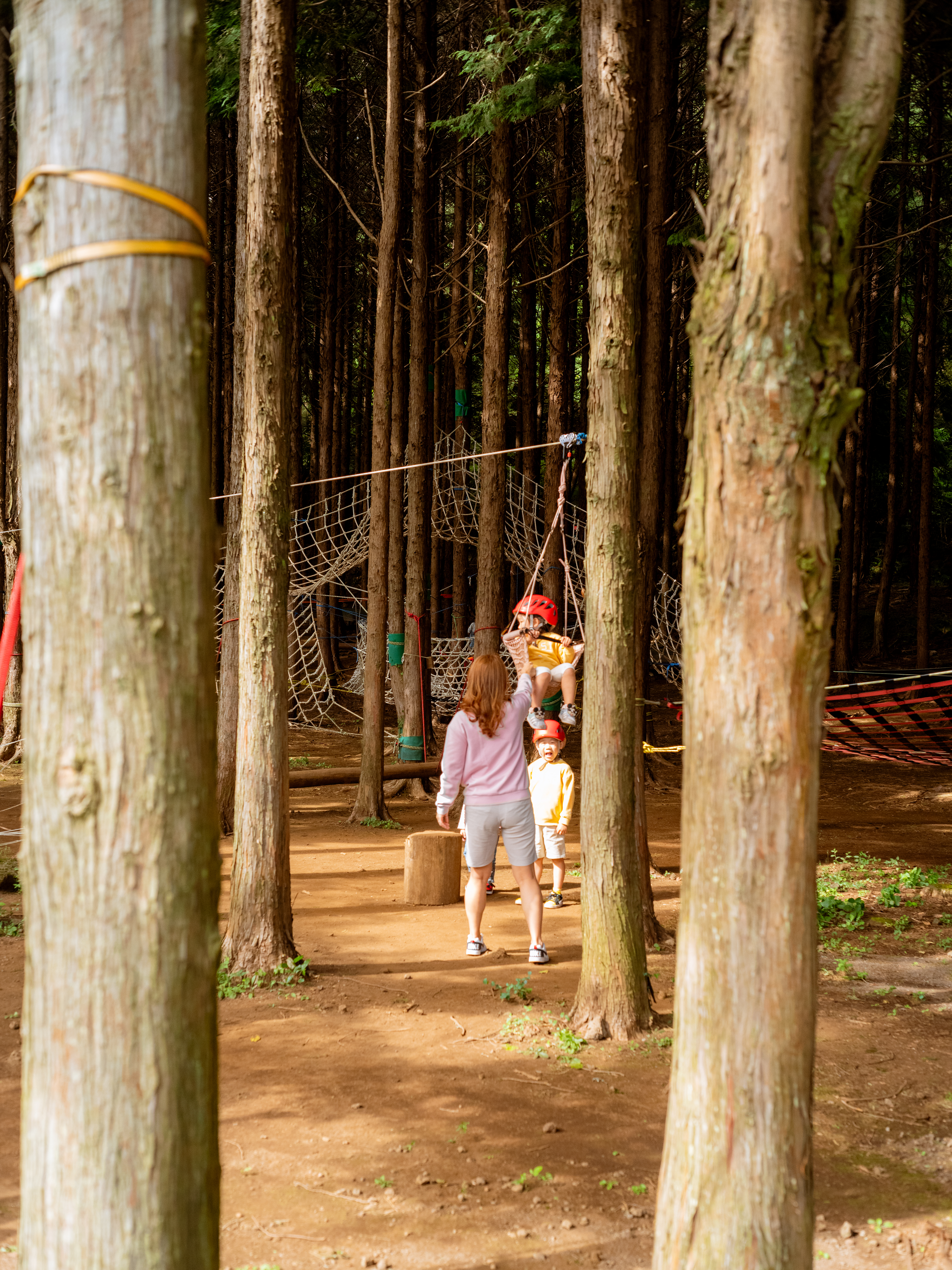 편백포레스트 5