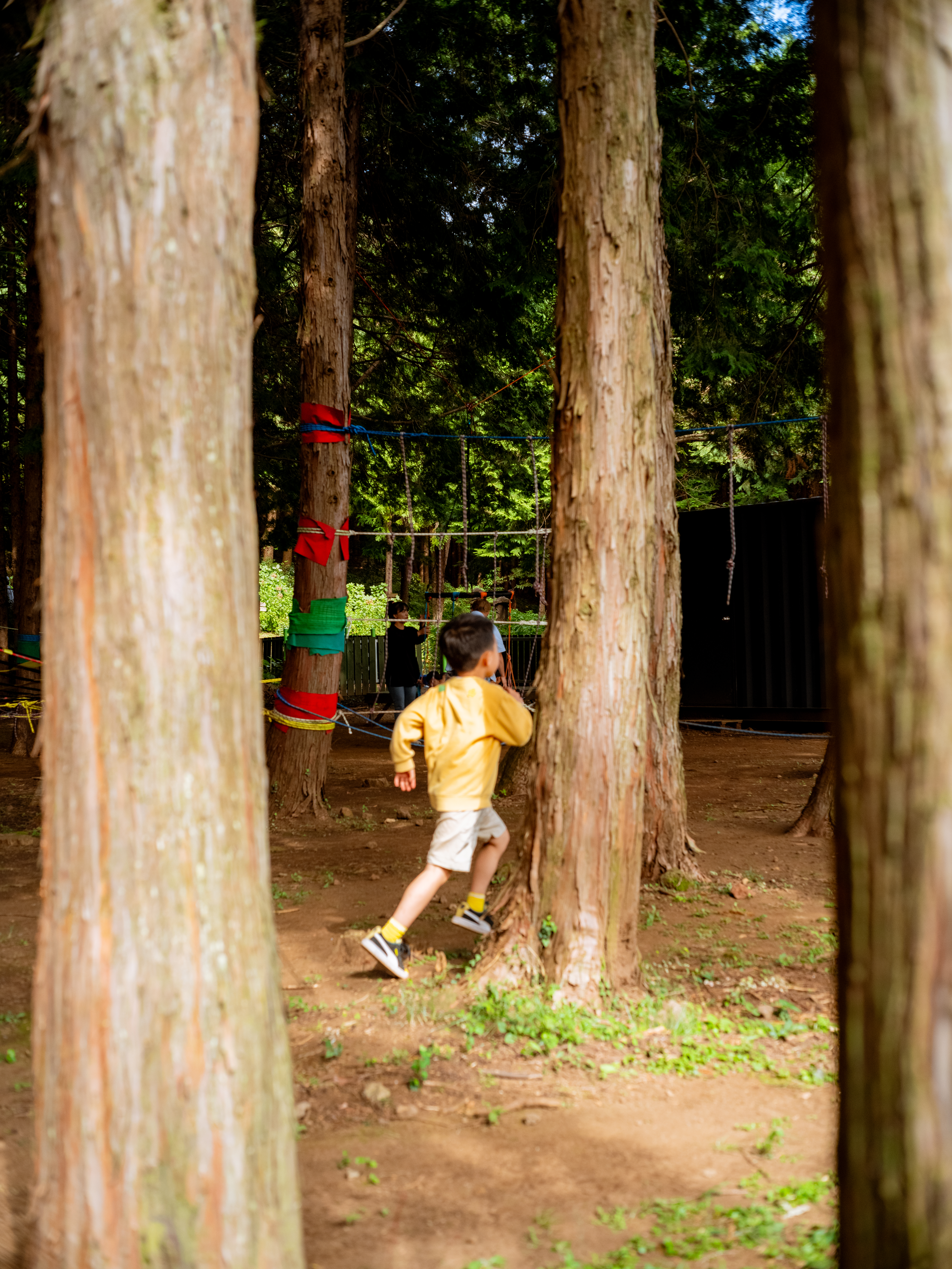 편백포레스트 6