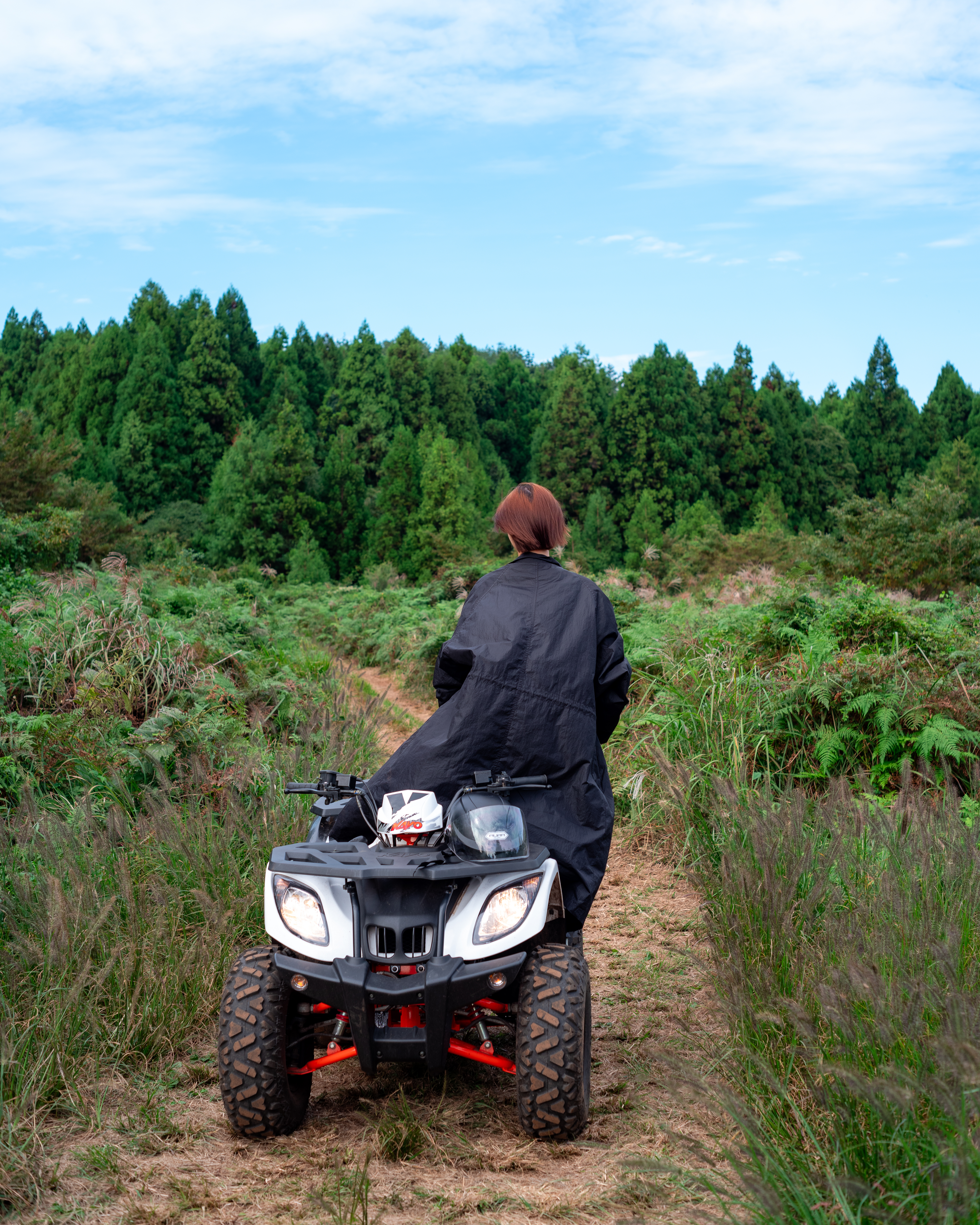 편백포레스트 9