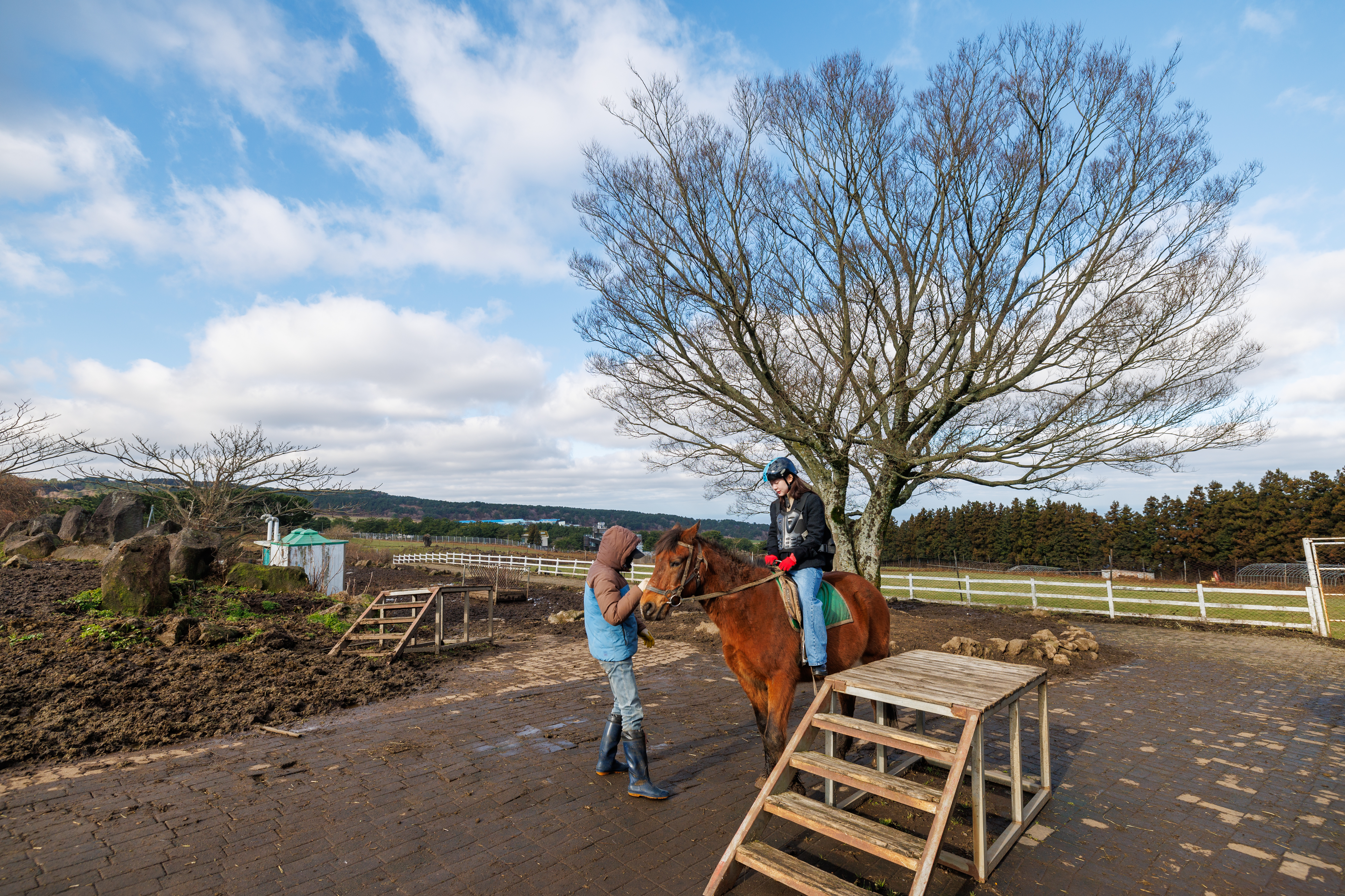 승마체험 6