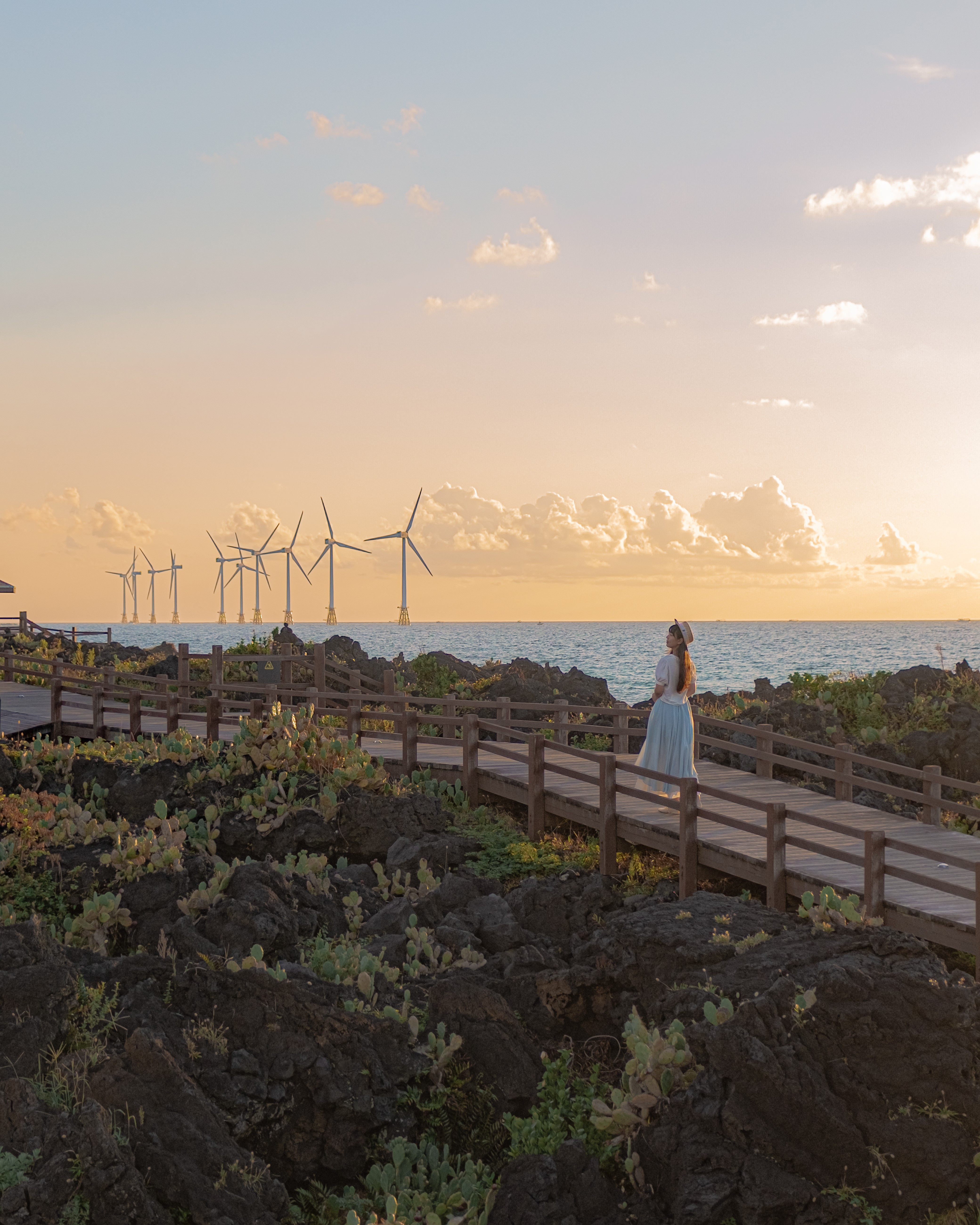 월령리선인장군락 2