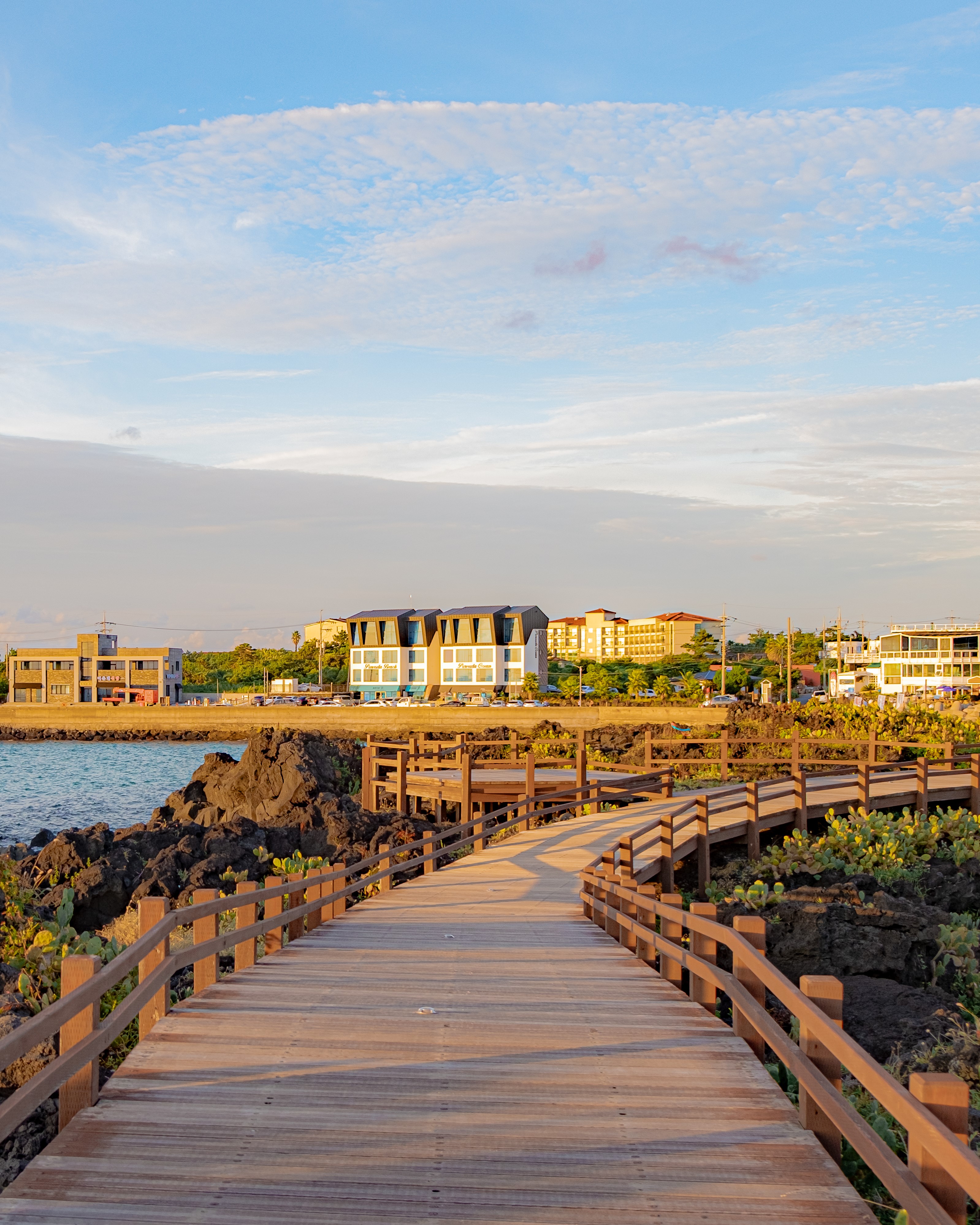 월령리선인장군락 4