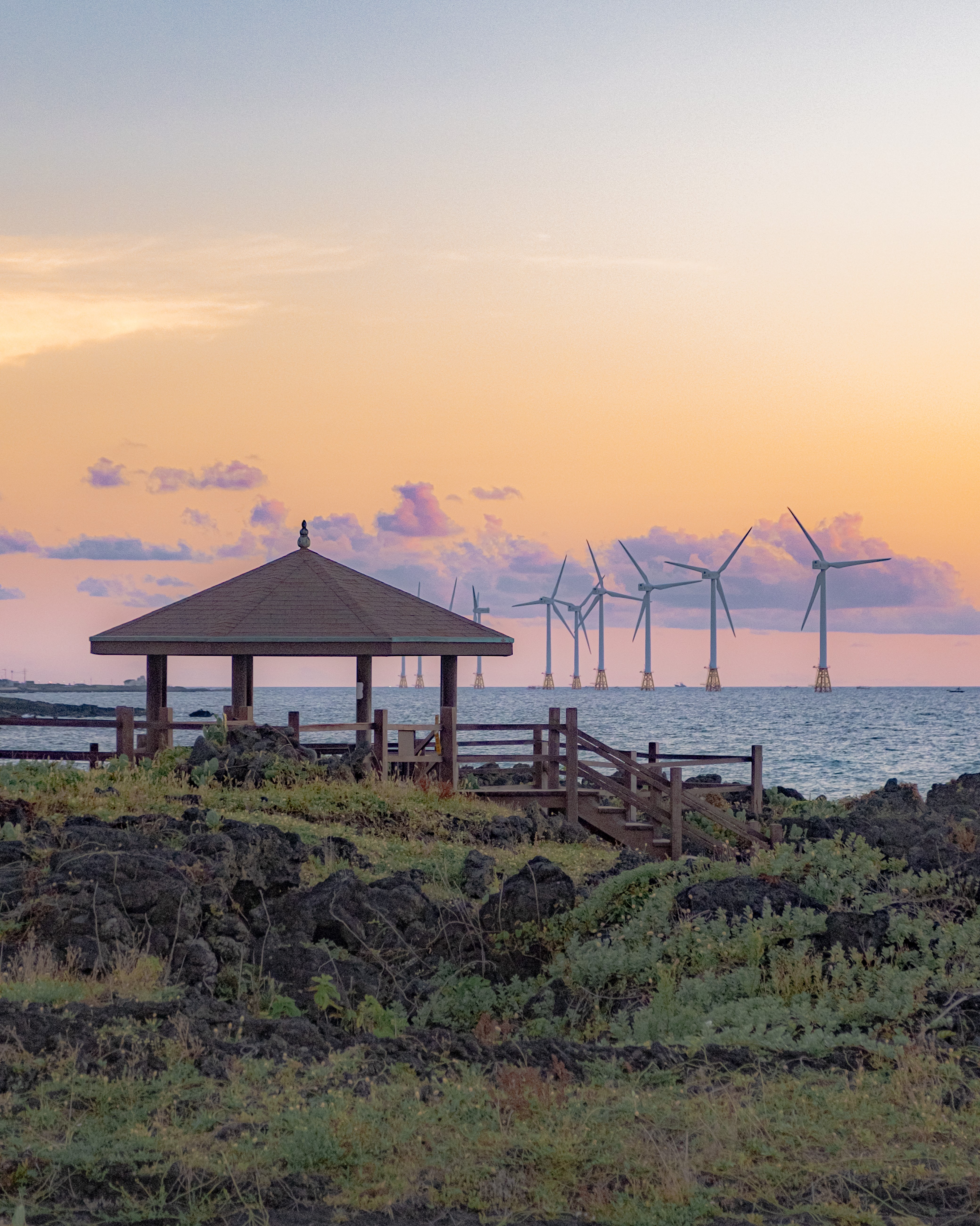 월령리선인장군락 11