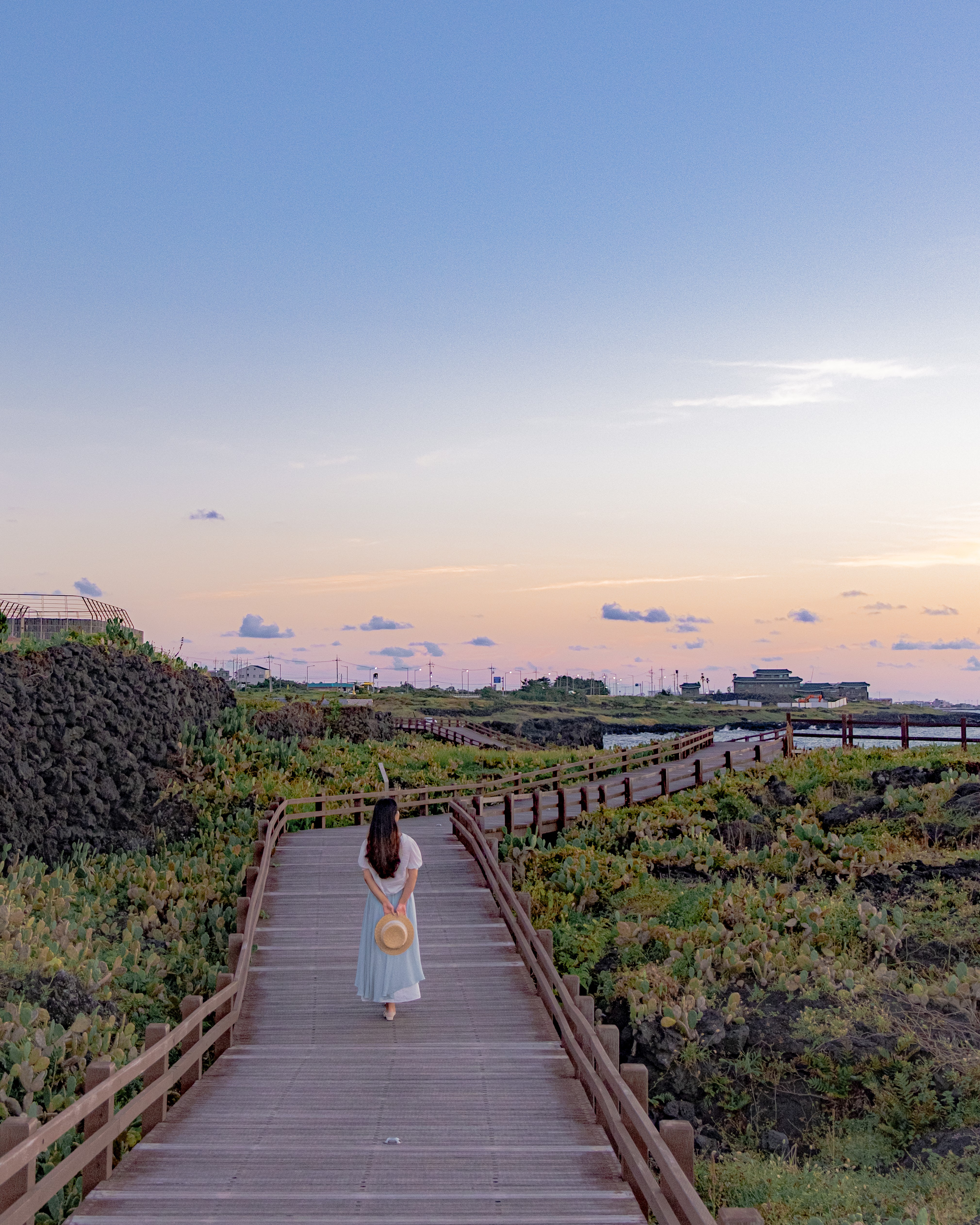 월령리선인장군락 13