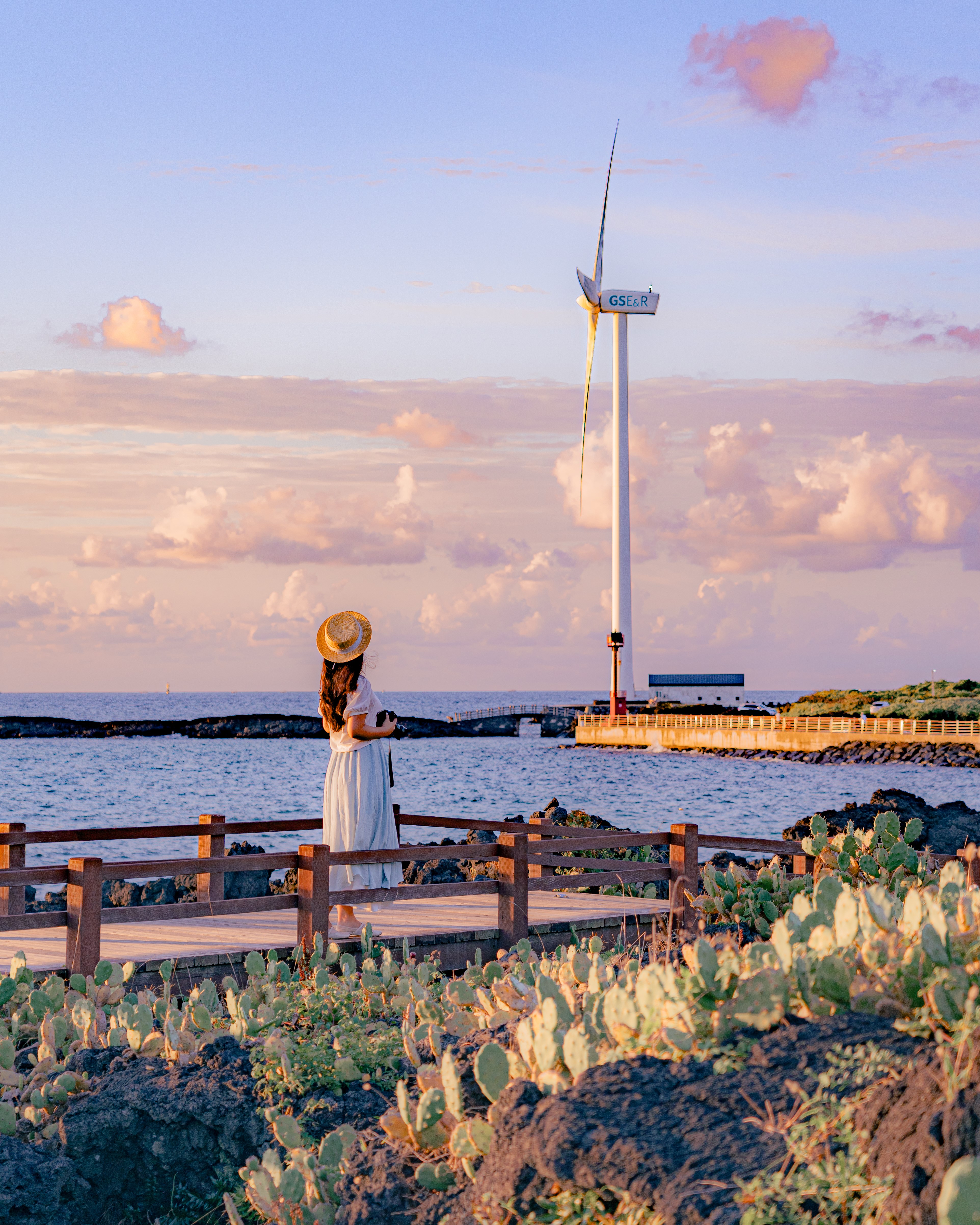 월령리선인장군락 14
