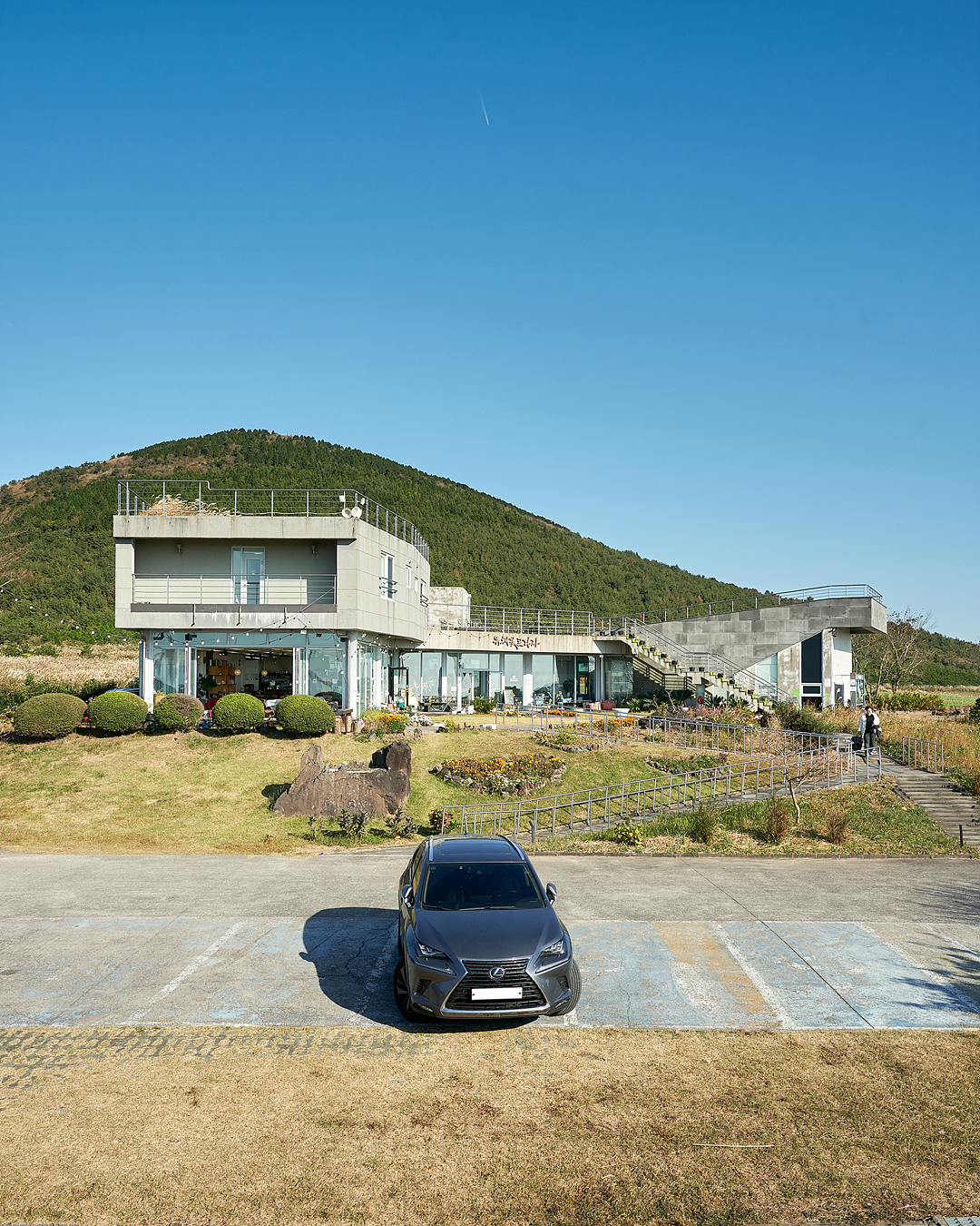 유채꽃프라자 11