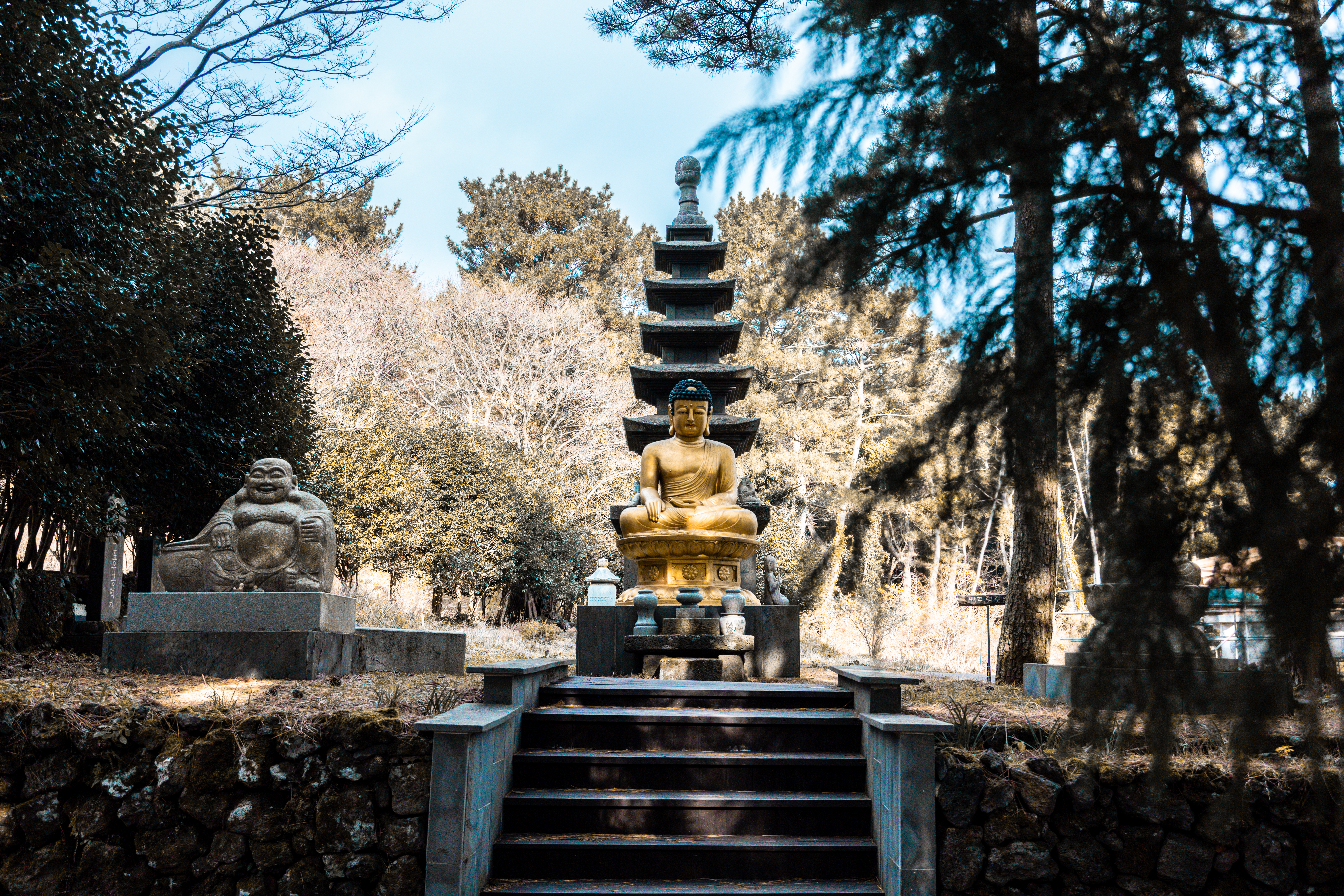 절물자연휴양림 7