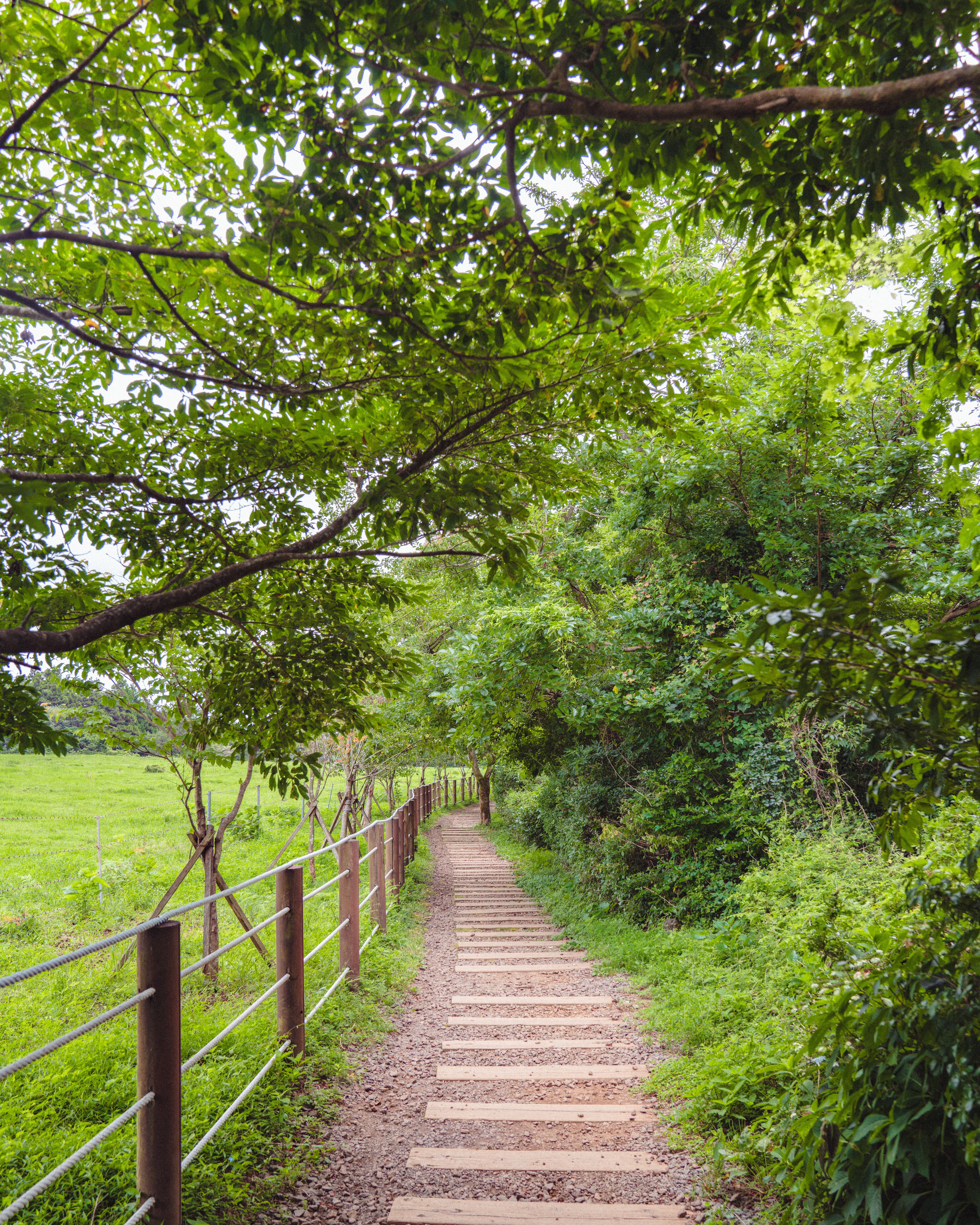 물영아리오름 7