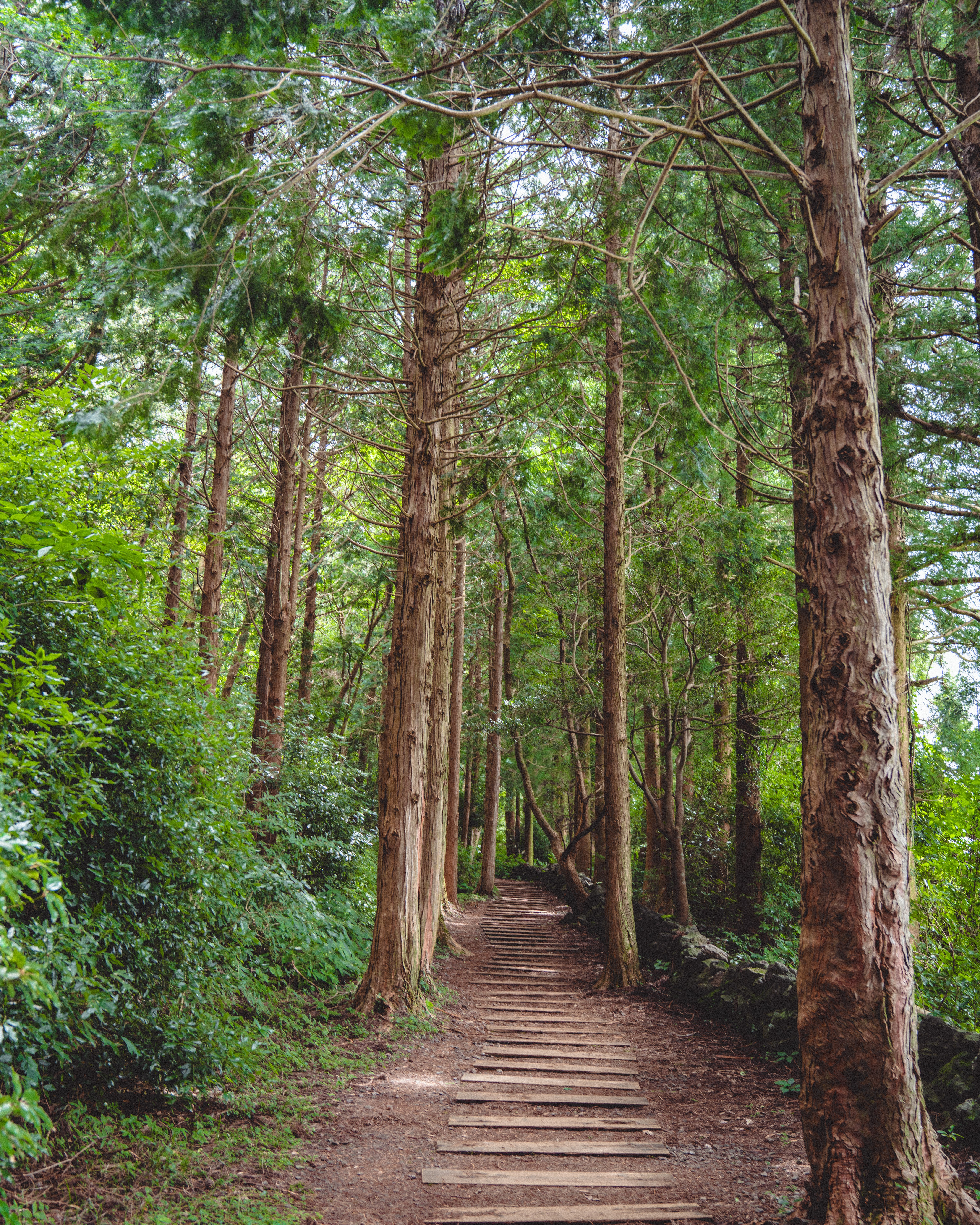 물영아리오름 10