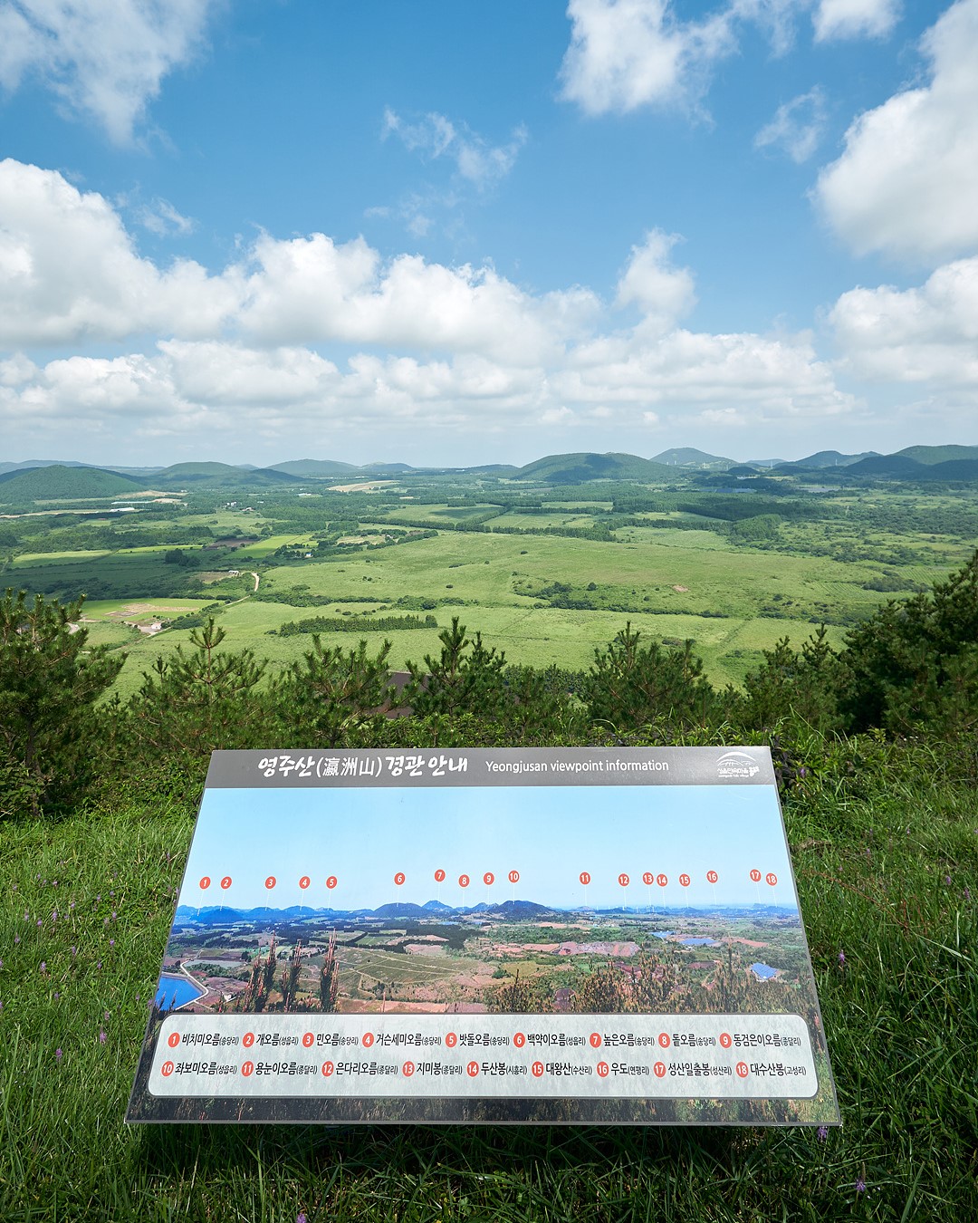 영주산 5
