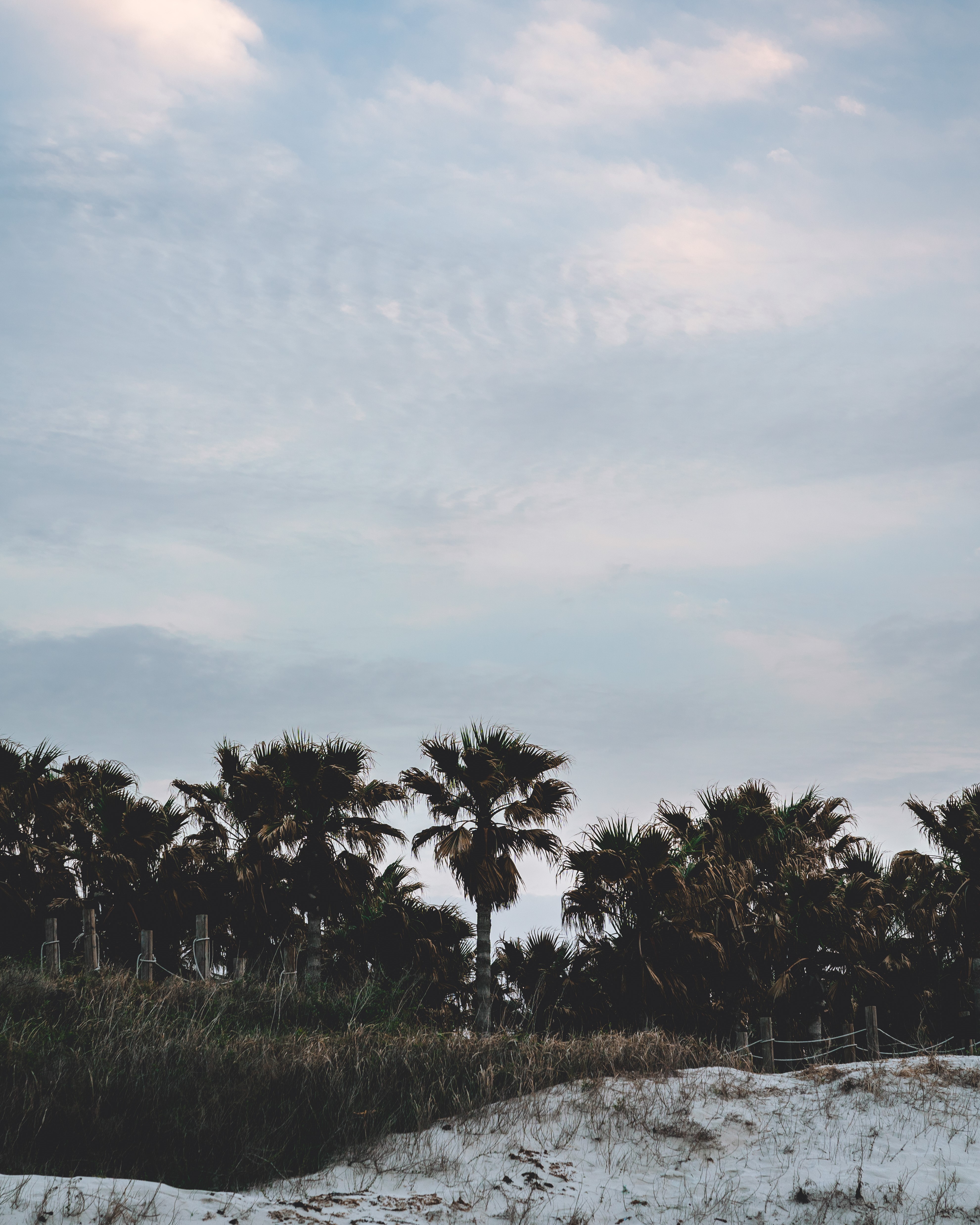 금능해수욕장 8