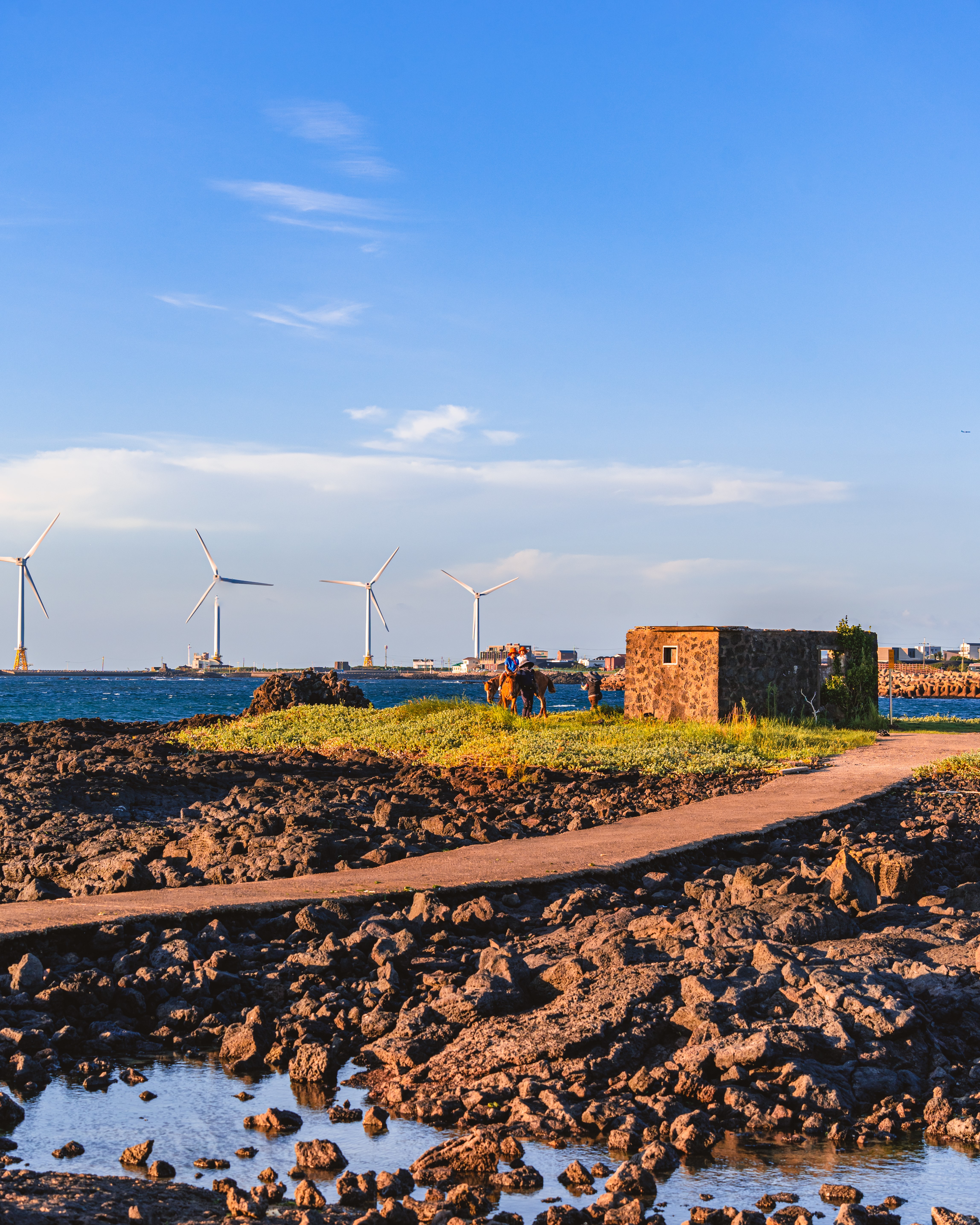 신창리해안도로 22