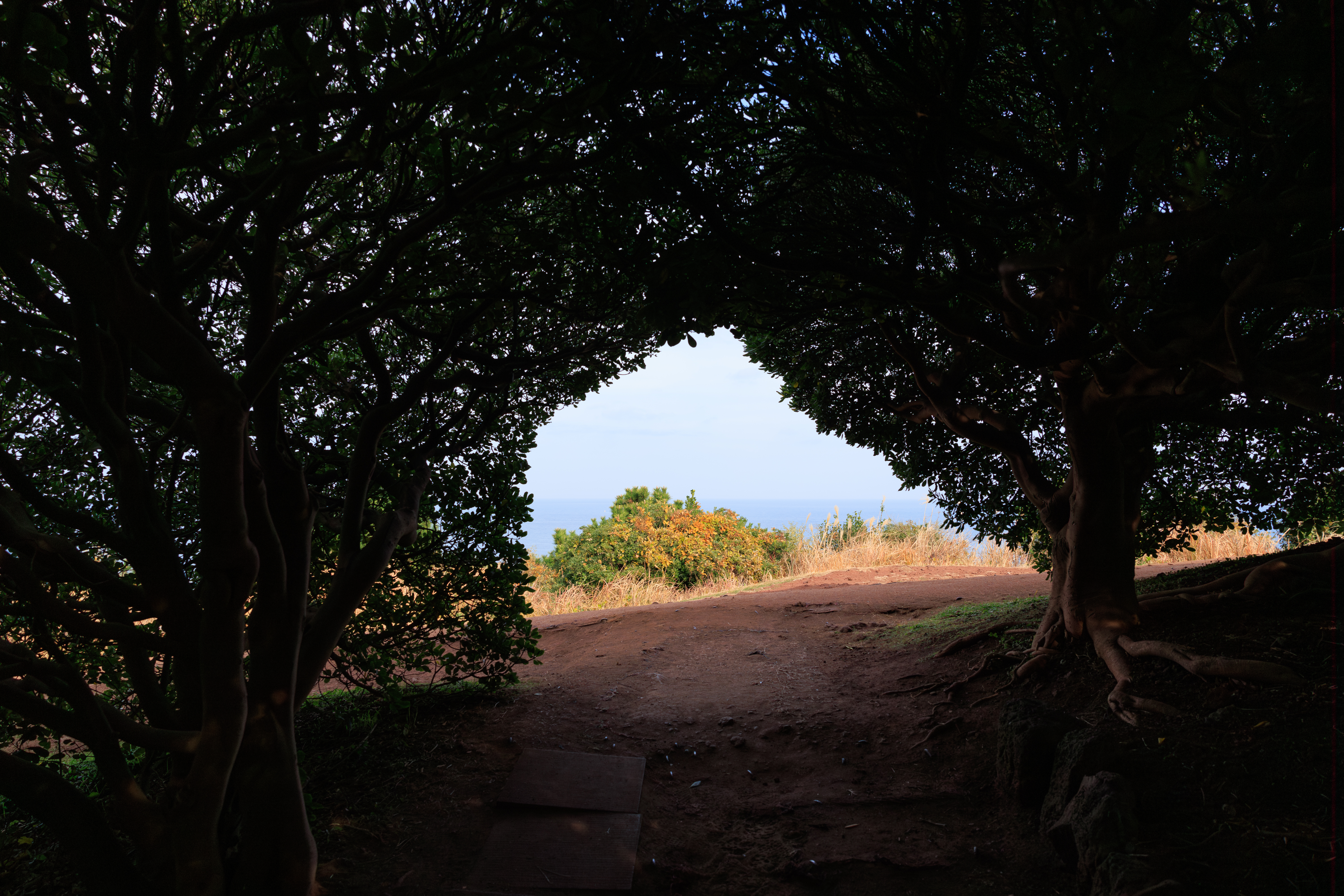 도두해안도로 및 도두봉 2