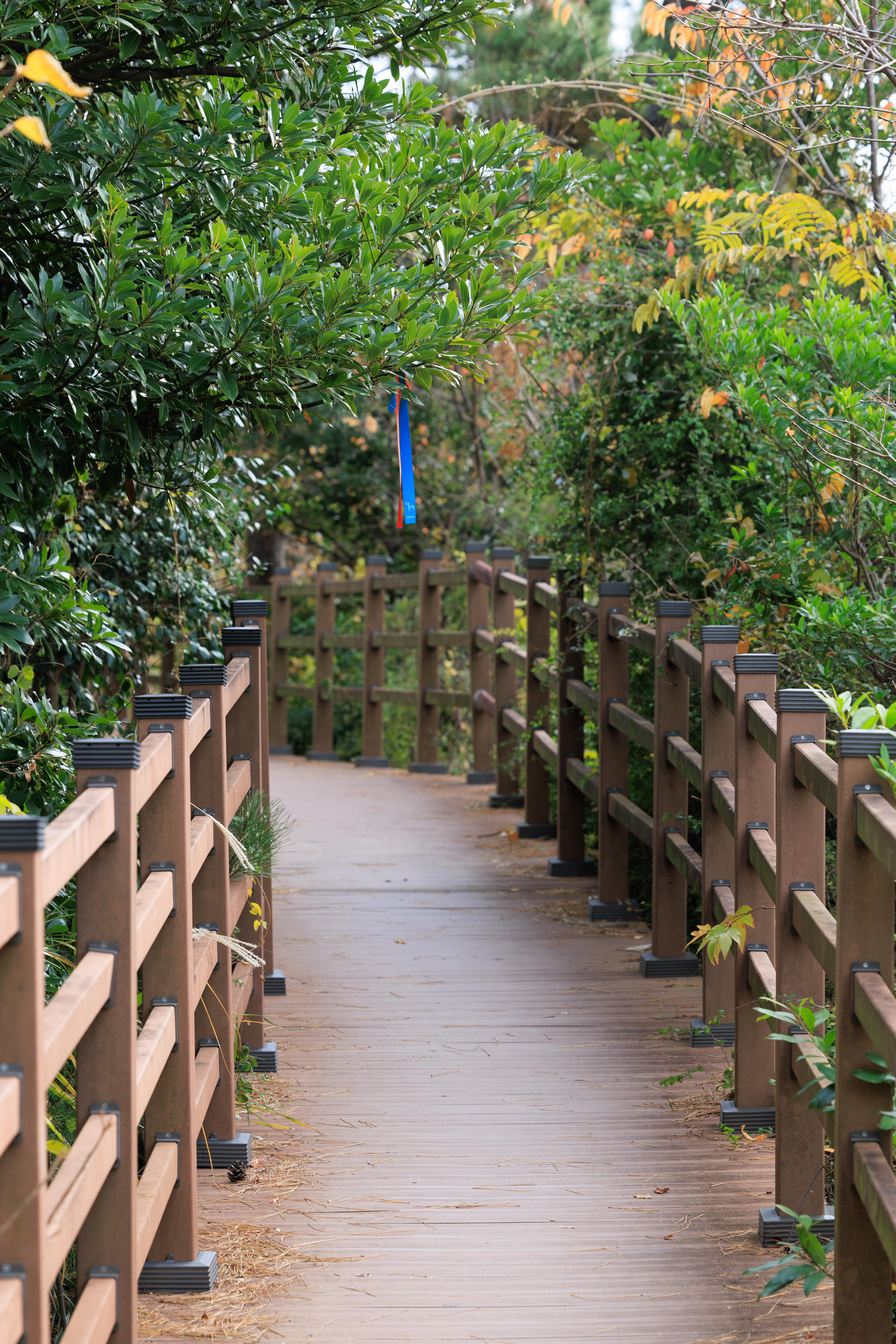 도두해안도로 및 도두봉 5