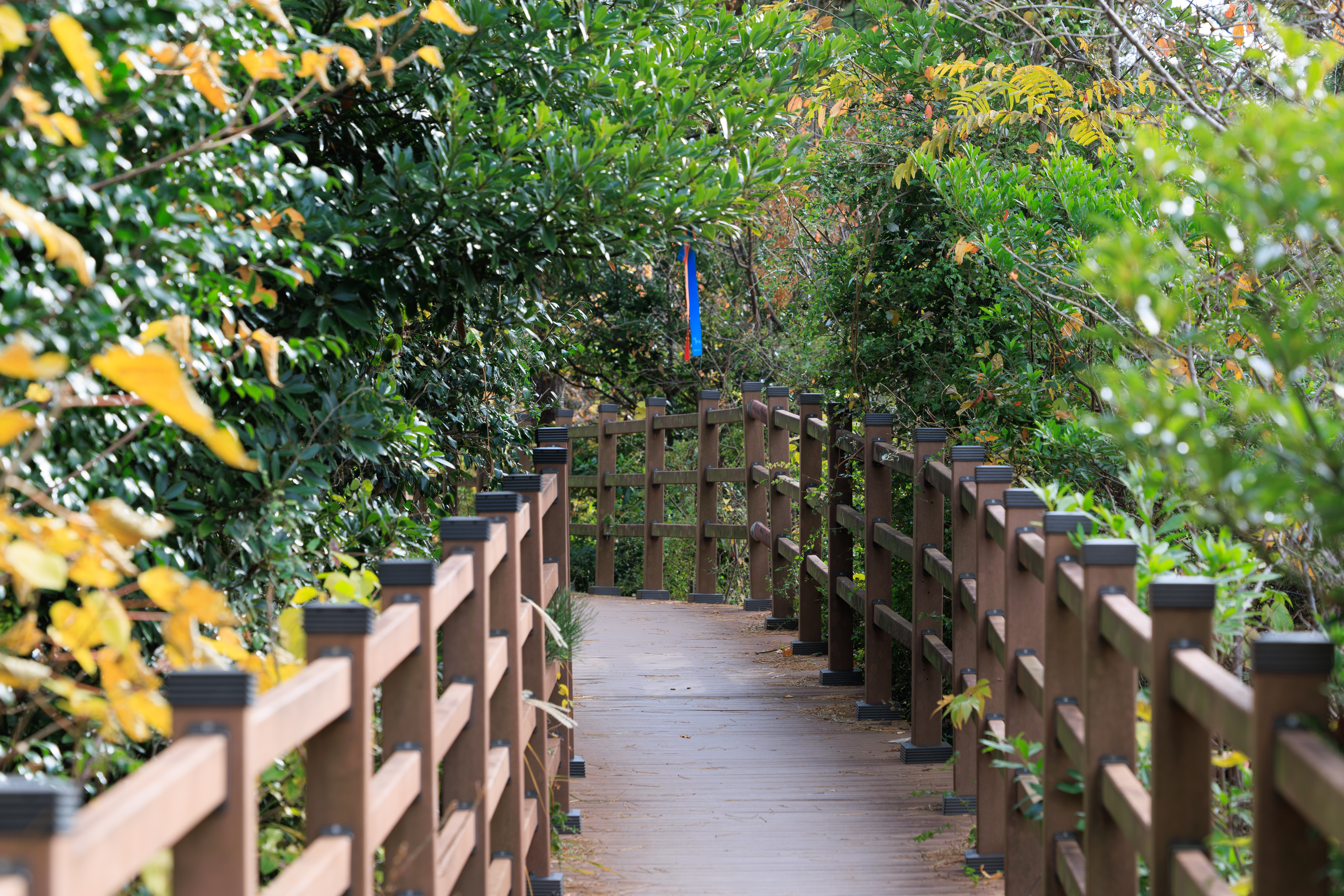 도두해안도로 및 도두봉 8