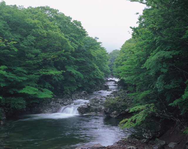 한라산계곡1