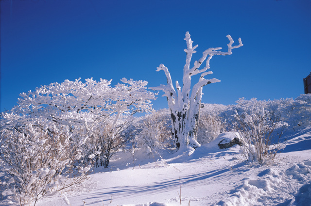 한라산설경4